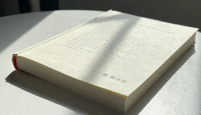 安装调试:故障排查与性能优化的关键分析