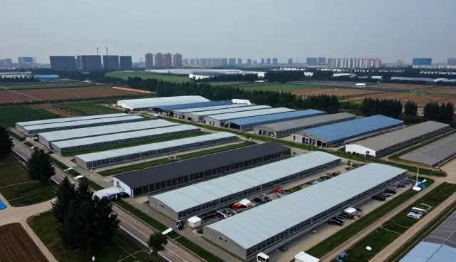 不同规模企业在应用开发中的实际需求差异分析